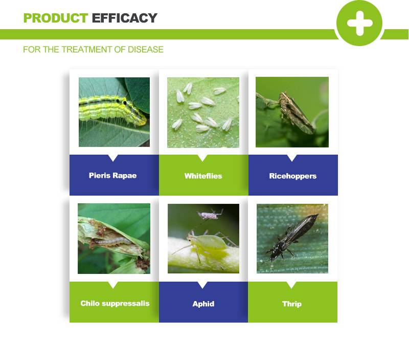 dinotefuran systemic pesticide