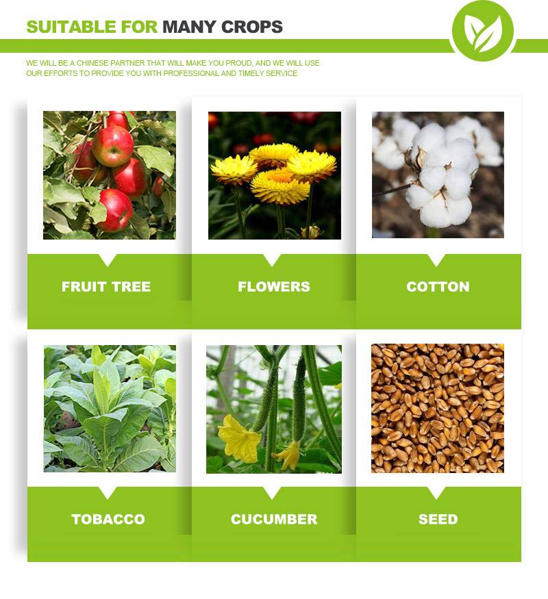 gibberellic acid uses