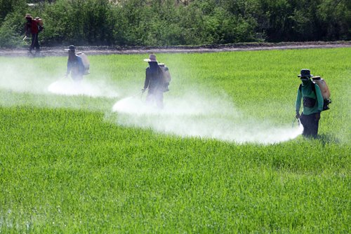 Complex formula — better choice of crops protection!