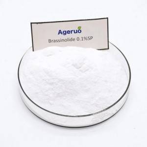Ageruo 90% TC Brassinolide use of Natural Plant Hormone