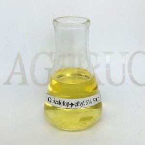 Quizalofop-p-ethyl 5% EC Herbicide Kill Annual weed